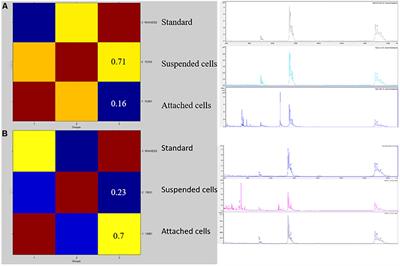 BIOF–HILO Assay: A New MALDI–TOF Mass Spectrometry Based Method for Discriminating Between High- and Low-Biofilm-Producing Candida parapsilosis Isolates